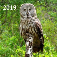 Что изображено на гербе козельска. Смотреть фото Что изображено на гербе козельска. Смотреть картинку Что изображено на гербе козельска. Картинка про Что изображено на гербе козельска. Фото Что изображено на гербе козельска Что изображено на гербе козельска. Смотреть фото Что изображено на гербе козельска. Смотреть картинку Что изображено на гербе козельска. Картинка про Что изображено на гербе козельска. Фото Что изображено на гербе козельска